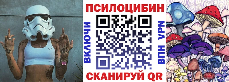 Купить где  Будённовск  Галлюциногенные грибы MAGIC MUSHROOMS 