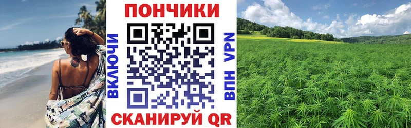 Бошки Шишки план  Купить  Будённовск 